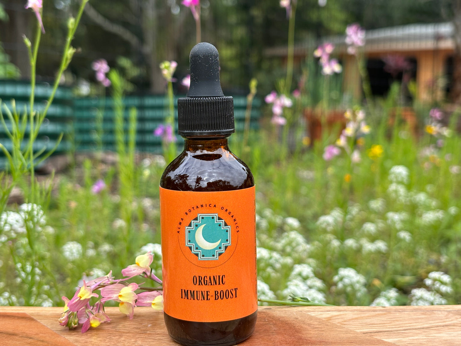 Immune Boost